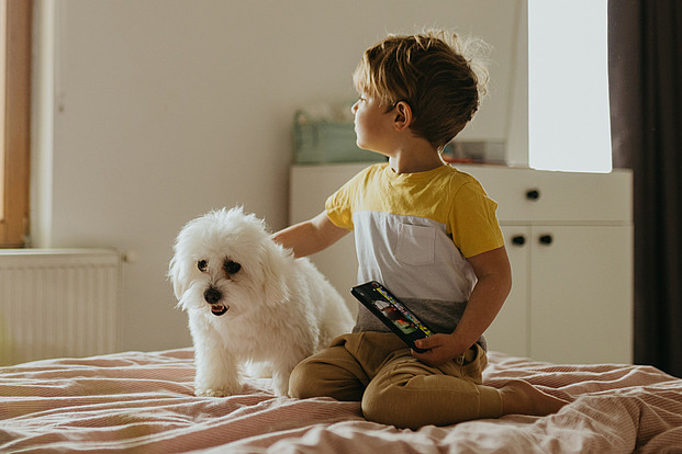 Kind sitzt schräg knieend auf dem Bett und hält mit einer Hand seinen weißen kleinen Hund der neben ihm sitzt