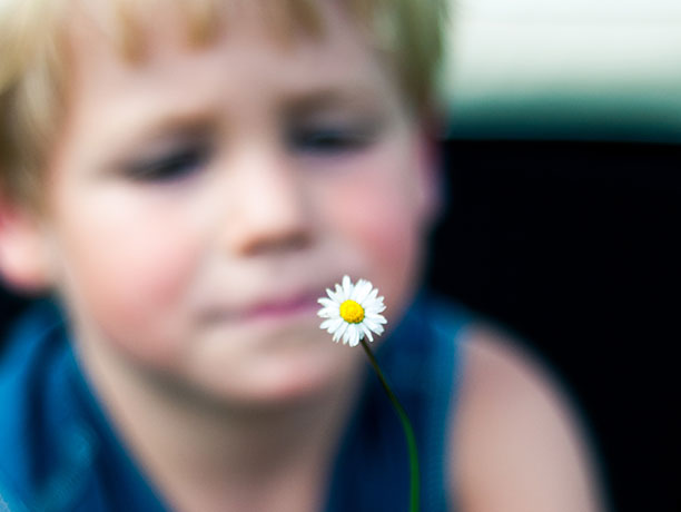 Blume im Vordergrund, im Hintergrund das Gesicht eines Jungen